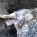 Bullenkopf 80x100cm